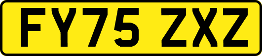 FY75ZXZ