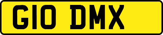 G10DMX