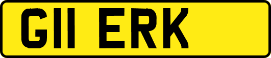 G11ERK