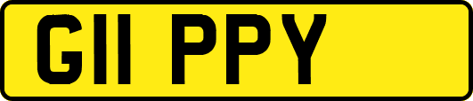G11PPY