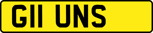 G11UNS