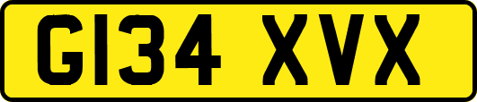G134XVX