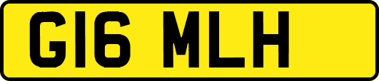 G16MLH