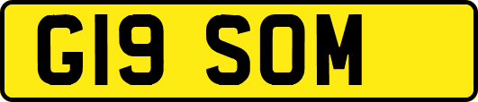 G19SOM