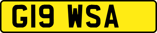 G19WSA