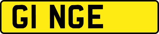 G1NGE