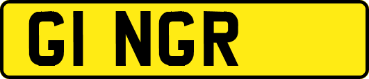 G1NGR