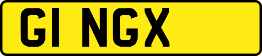 G1NGX