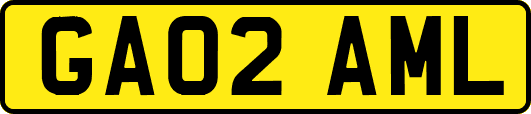 GA02AML