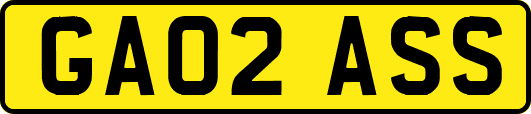 GA02ASS