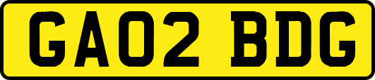 GA02BDG