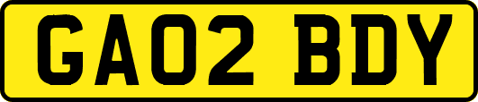GA02BDY