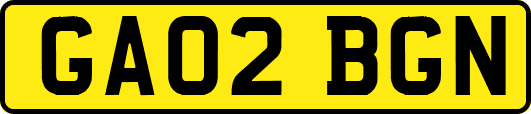 GA02BGN