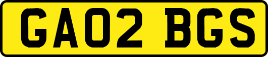 GA02BGS