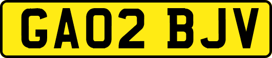 GA02BJV