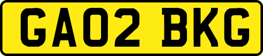 GA02BKG