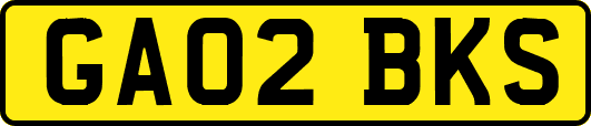 GA02BKS