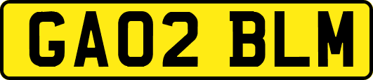 GA02BLM