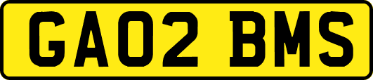 GA02BMS