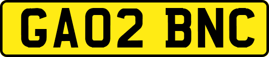 GA02BNC