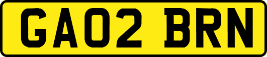 GA02BRN