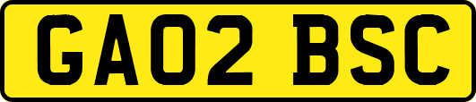 GA02BSC
