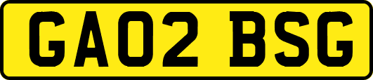 GA02BSG