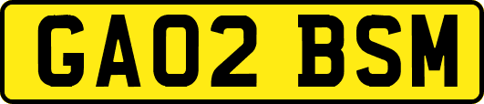 GA02BSM