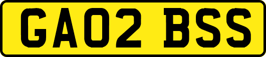 GA02BSS