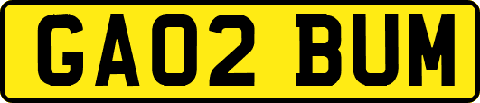 GA02BUM
