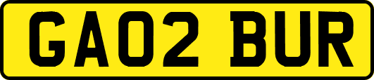 GA02BUR