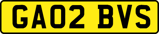 GA02BVS