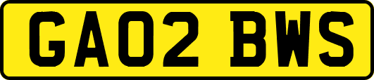 GA02BWS