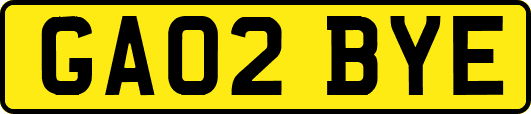 GA02BYE