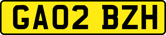 GA02BZH