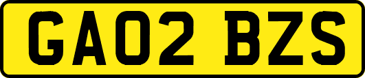 GA02BZS