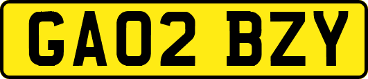 GA02BZY