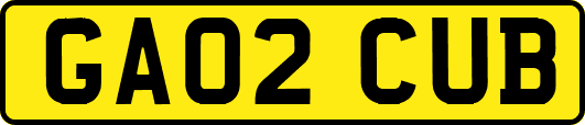 GA02CUB