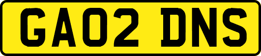 GA02DNS