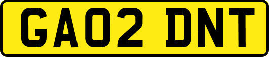 GA02DNT