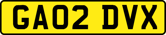 GA02DVX