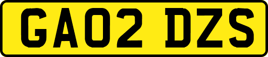 GA02DZS