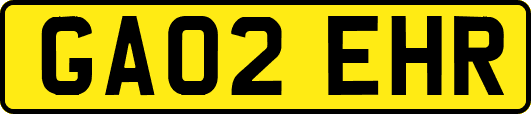 GA02EHR