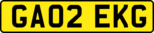 GA02EKG
