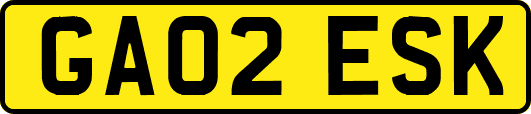 GA02ESK