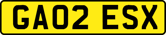 GA02ESX