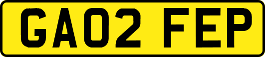GA02FEP