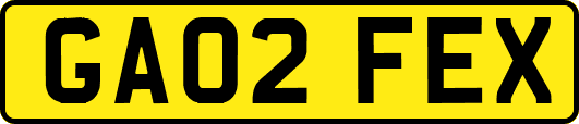 GA02FEX