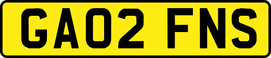 GA02FNS