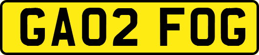 GA02FOG